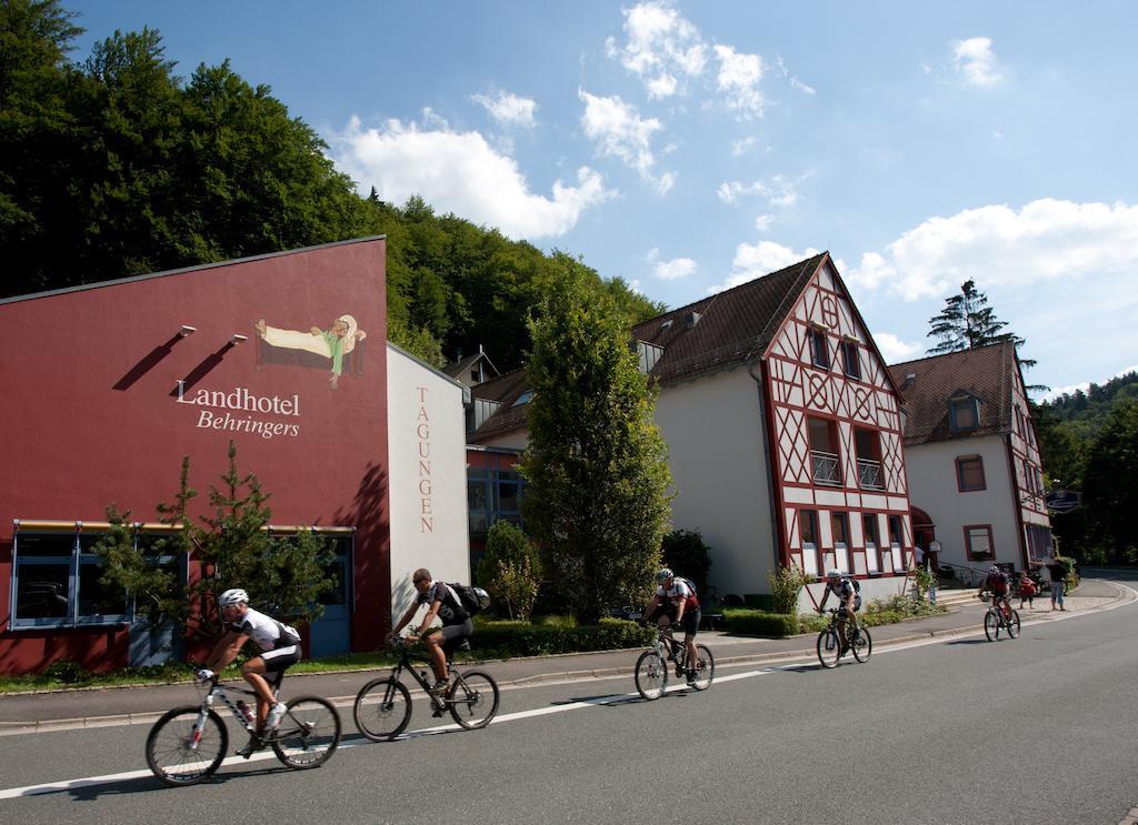 Behringers Freizeit - Und Tagungshotel โกสไวน์ชไตน์ ภายนอก รูปภาพ